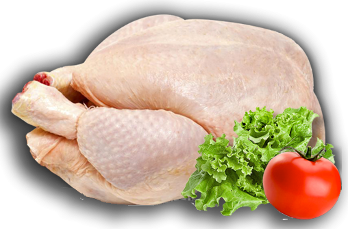 DISTRIBUIDORA DE POLLOS BETO_007