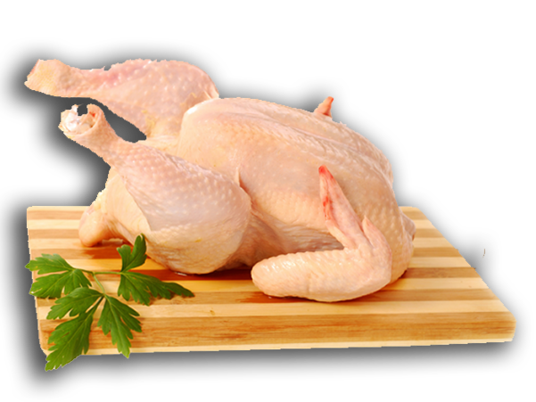 DISTRIBUIDORA DE POLLOS BETO_001