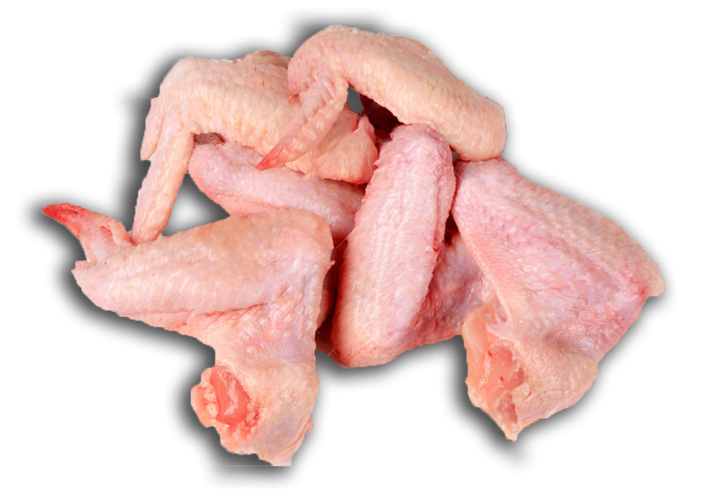 DISTRIBUIDORA DE POLLOS BETO_006